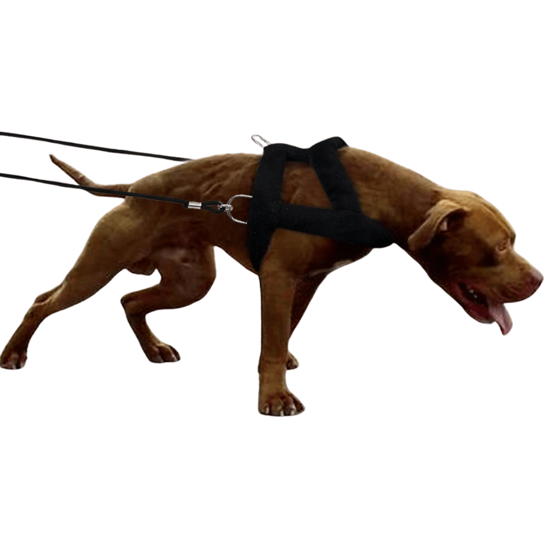 Heavy-Duty Dog Weight Pulling Harness with Padded Comfort for Strength Training 17