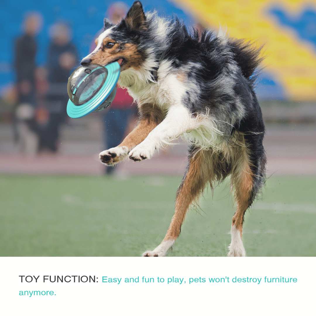 Interactive Dog Treat Ball Toy for Slow Feeding of Biscuits & Food