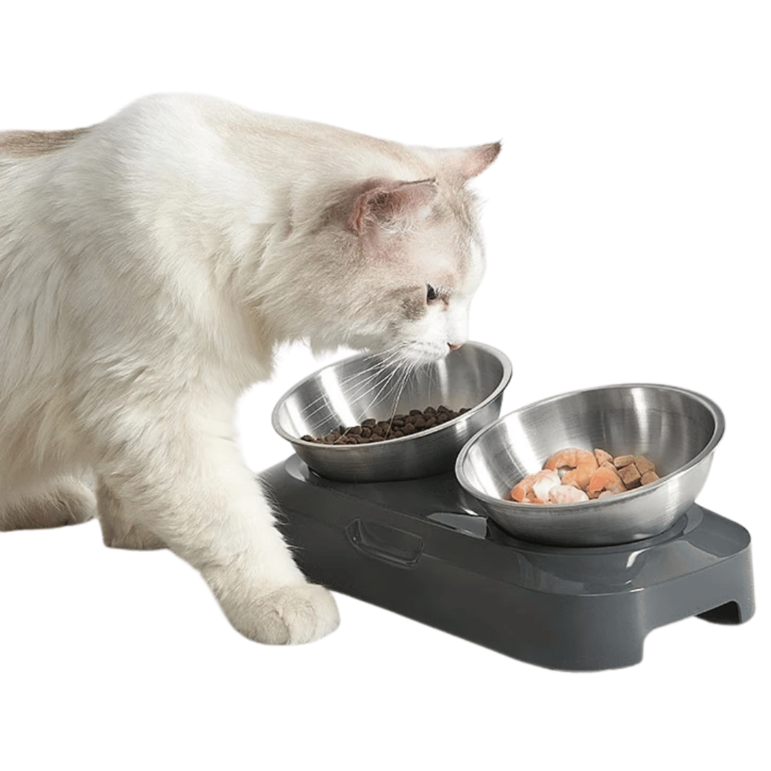 Raised & Tilted Cat & Puppy Feeding Station with Single or Double Stainless Steel Bowls 4
