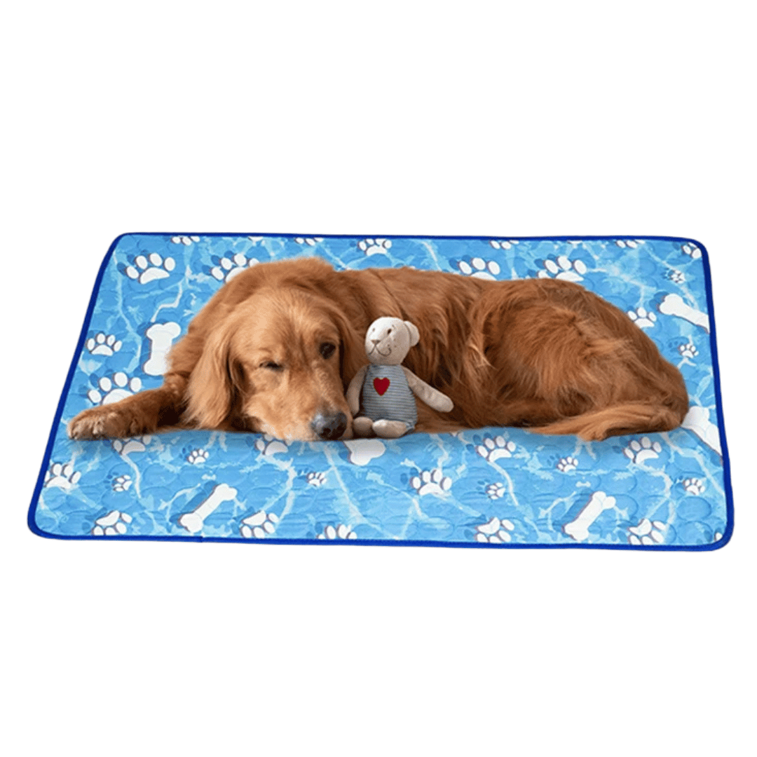 Ice Silk Dog Cooling Mat | Self-Cooling Pad for Dogs & Cats 1