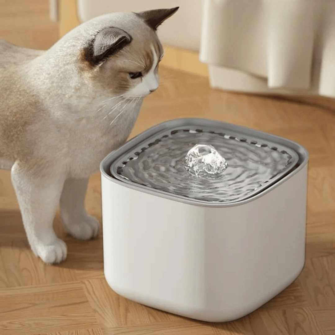 3L Cube Automatic Cat Water Fountain | Low-Noise & USB Rechargeable