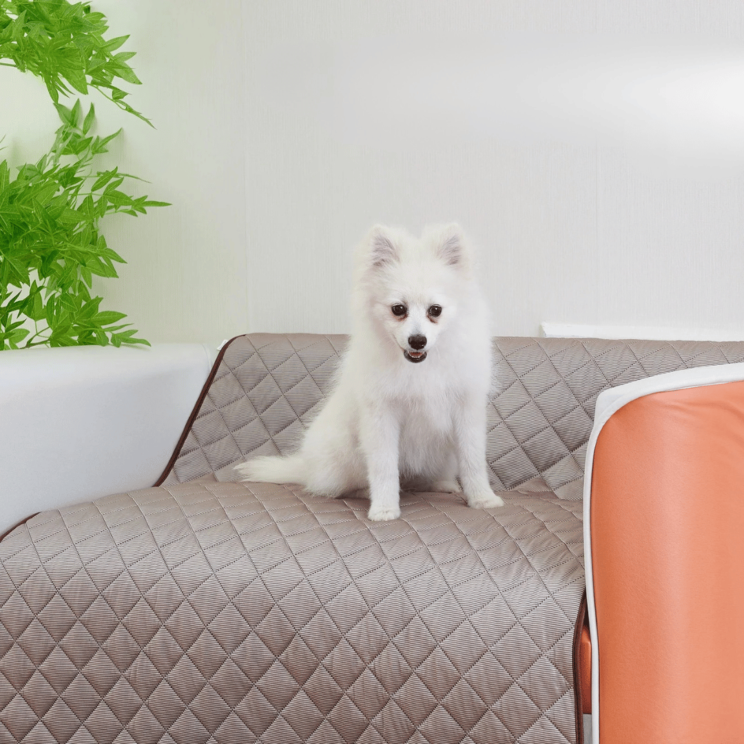 Dog Calming Mat for Cool Pets on Sofas, Floors & Pet Beds | Machine Washable 5