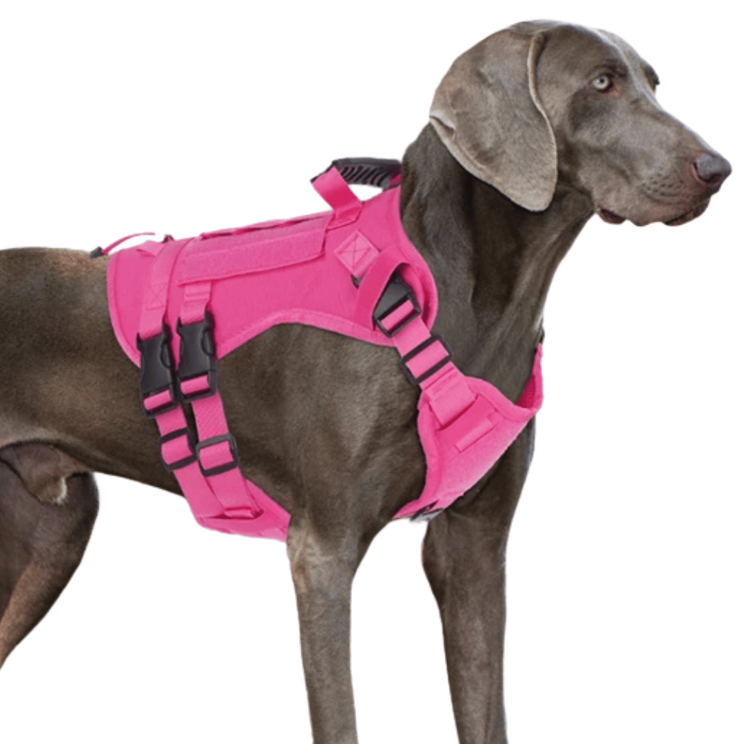 Reinforced Military-Style Dog Harness for Larger Breeds with Handle | Tactical Dog Training Vest 11