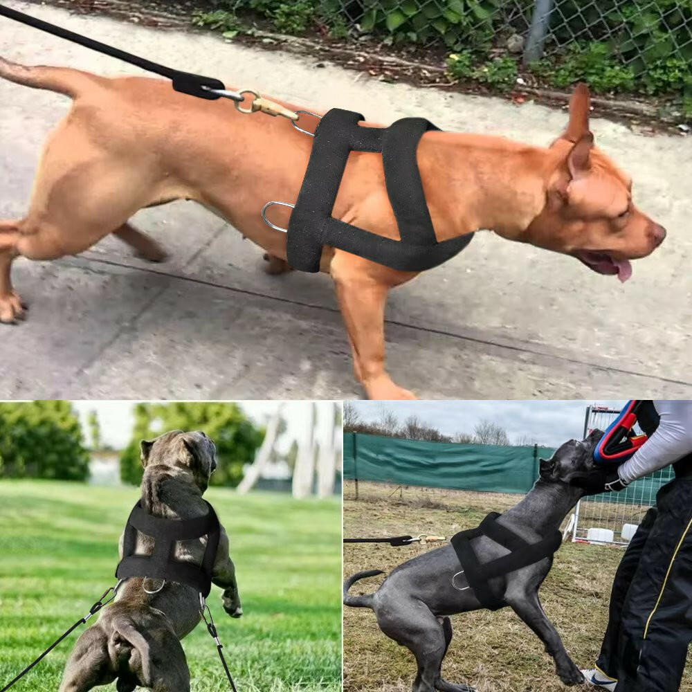 Heavy-Duty Dog Weight Pulling Harness with Padded Comfort for Strength Training 16