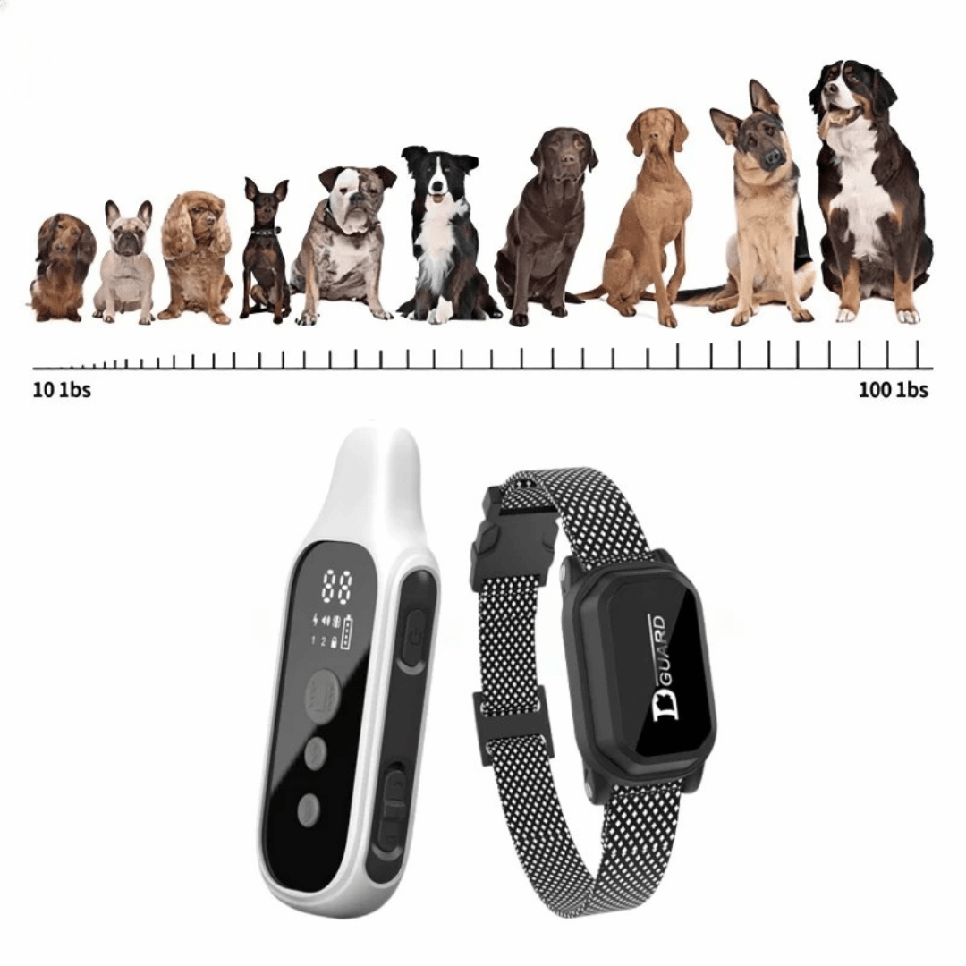 800m Waterproof Digital Dog Training Collar with Remote Control 7