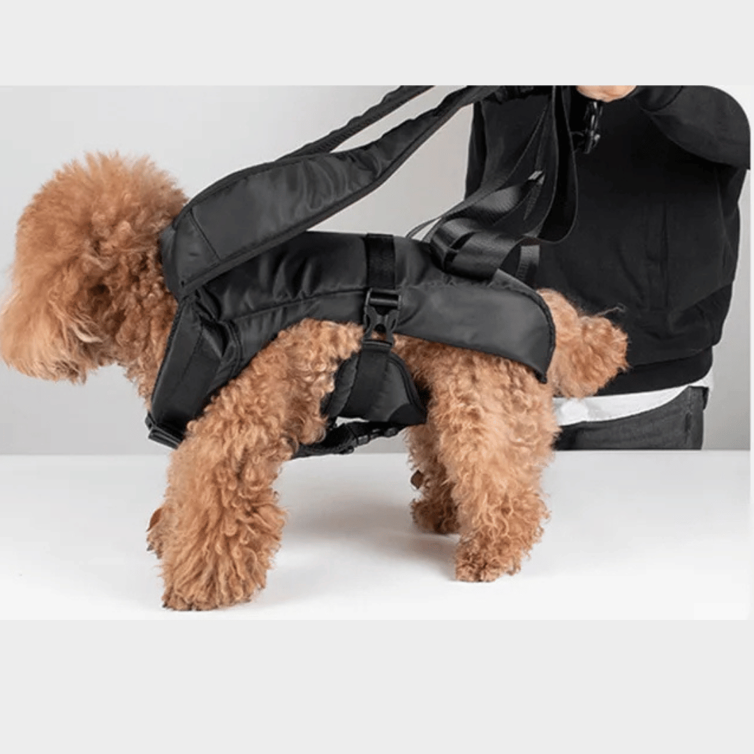Secure & Comfy Dog Carrier Backpack | Breathable & Fully Adjustable Pet Backpack 15