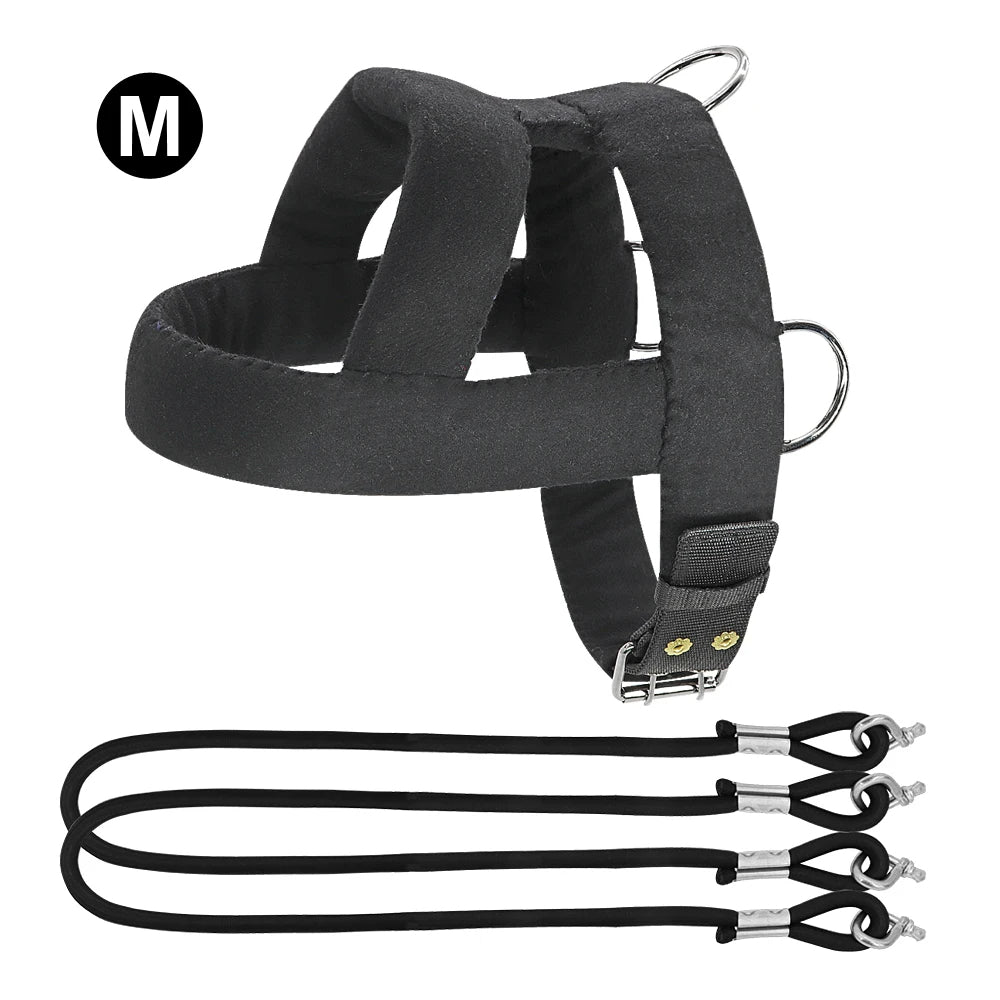 Heavy-Duty Dog Weight Pulling Harness with Padded Comfort for Strength Training 19