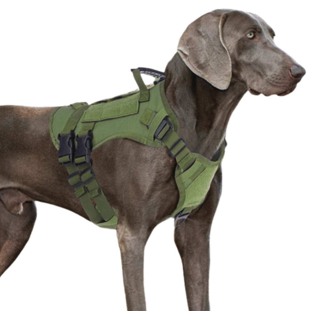 Reinforced Military-Style Dog Harness for Larger Breeds with Handle | Tactical Dog Training Vest 7
