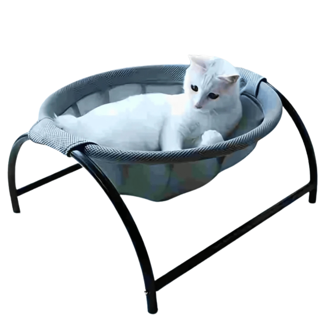 Free-Standing Cat Bed Hammock with Study Frame