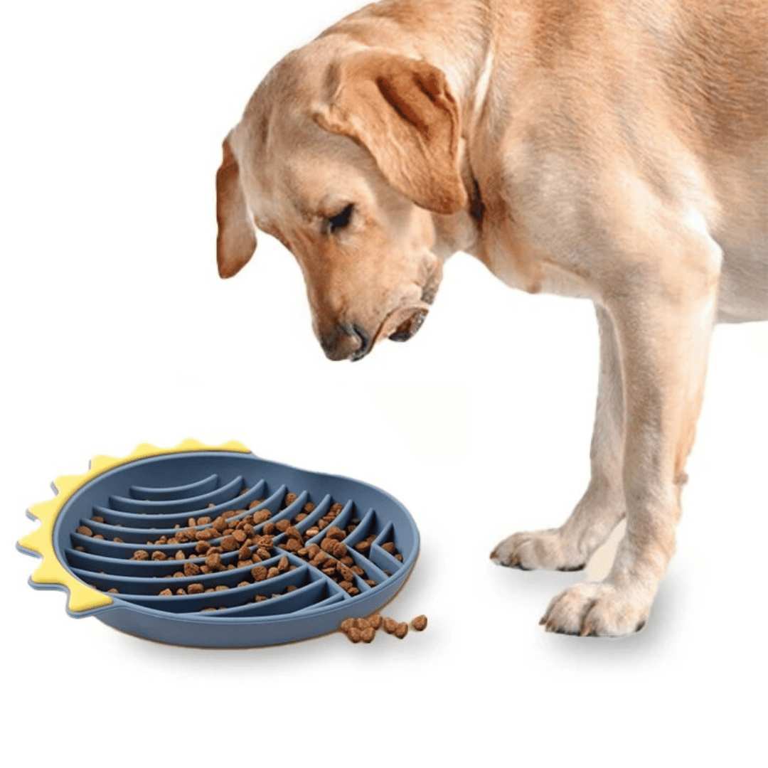 No-Spill Silicone Pet Lick Mat Pad For Small Dogs & Cats 1