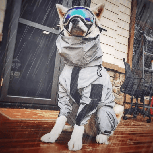 Reflective Full Body Dog Jacket with Adjustable Snood | Waterproof Dog Raincoat Jumpsuit
