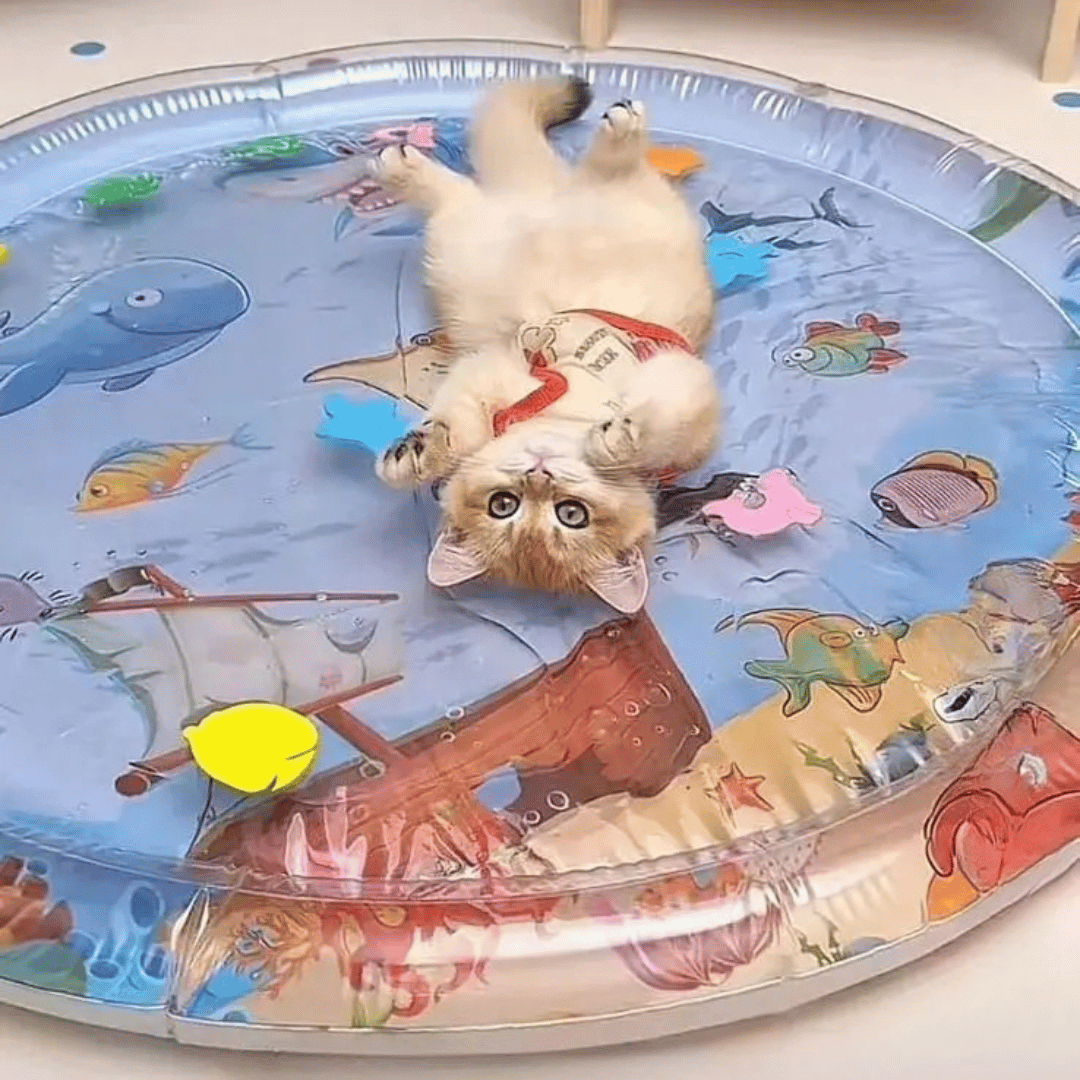 Inflatable & Fillable Sensory Pet Water Bed Cushion 6