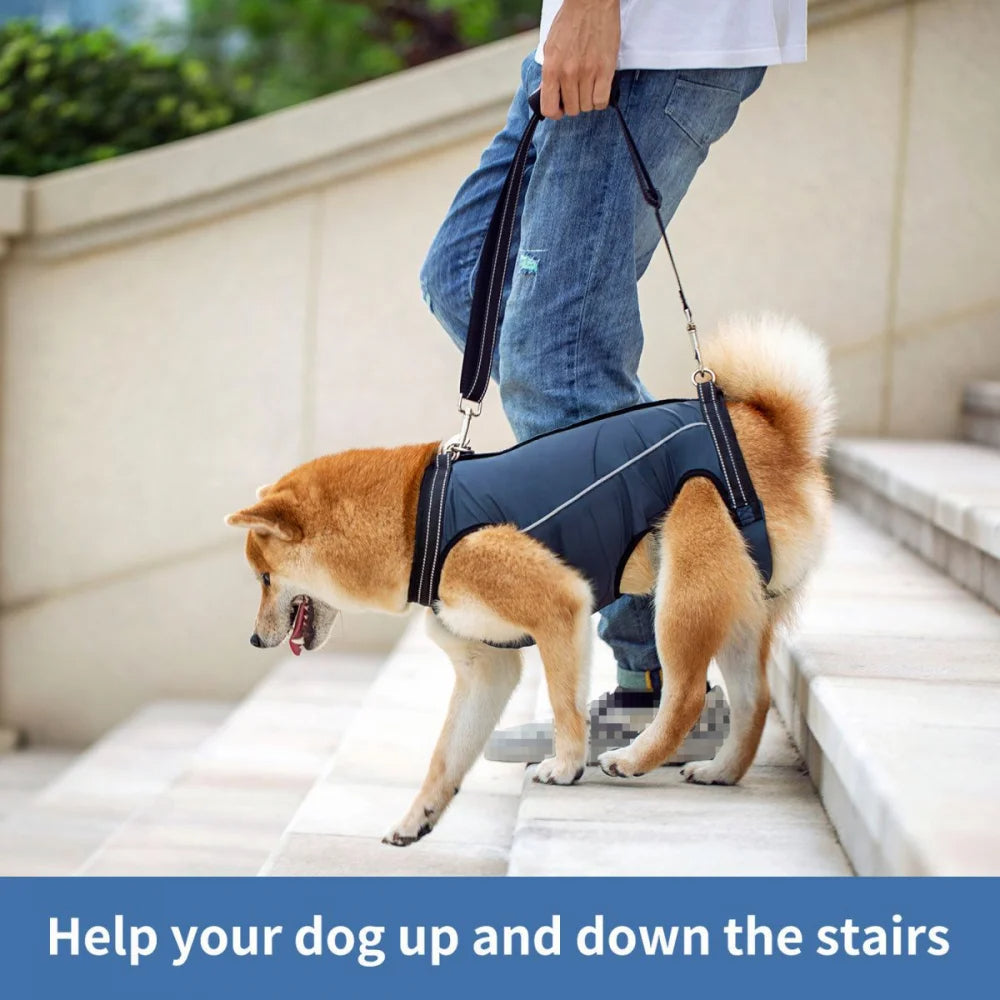 Dog Lift Harness for Injured & Senior Dogs with Arthritis | Adjustable Full Body Dog Support Sling for Rehab 8