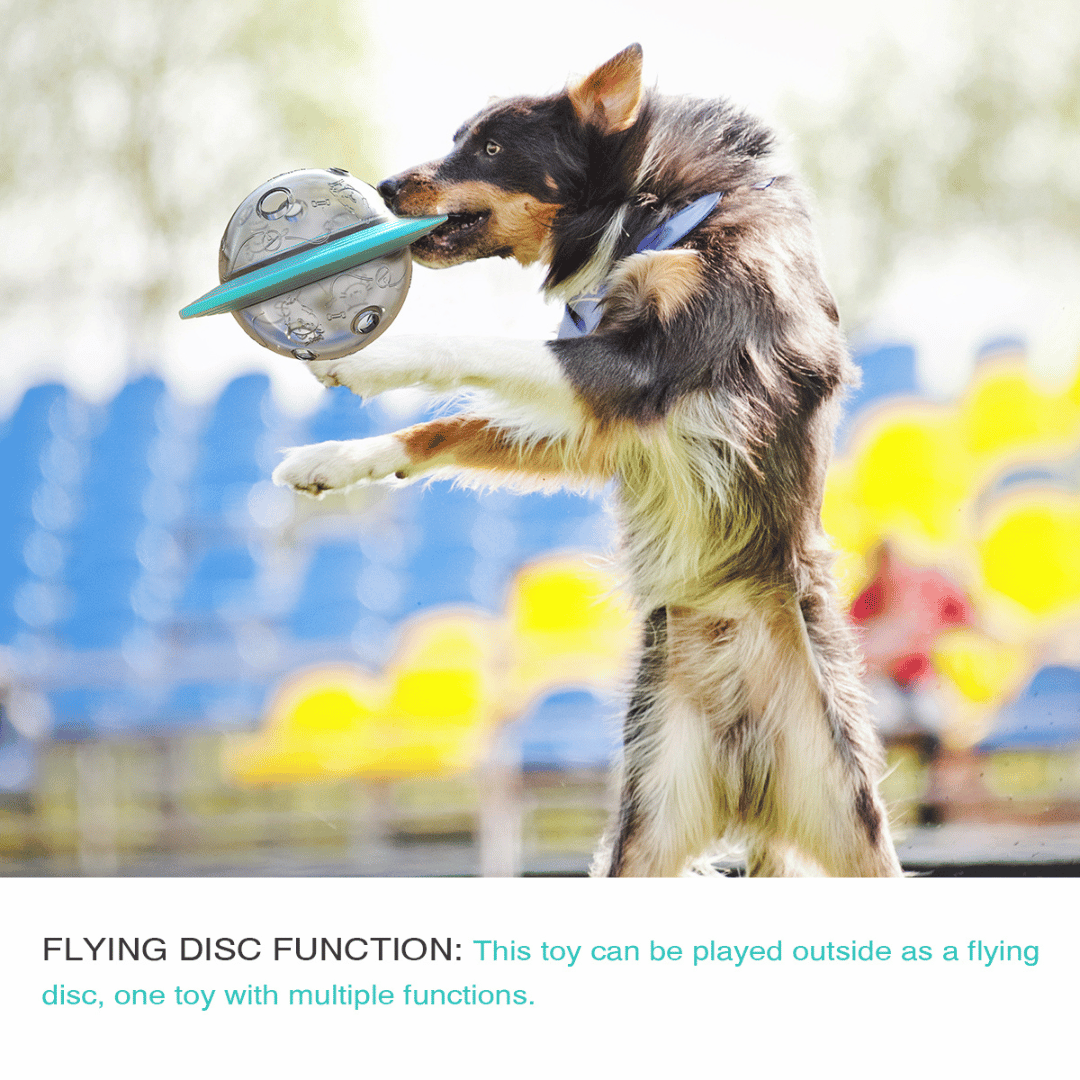 Interactive Dog Treat Ball Toy for Slow Feeding of Biscuits & Food