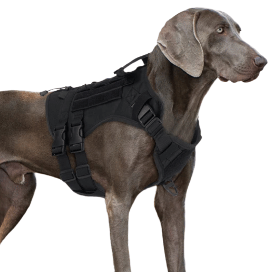 Reinforced Military-Style Dog Harness for Larger Breeds with Handle | Tactical Dog Training Vest 8
