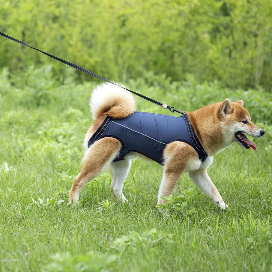 Dog Lift Harness for Injured & Senior Dogs with Arthritis | Adjustable Full Body Dog Support Sling for Rehab 12