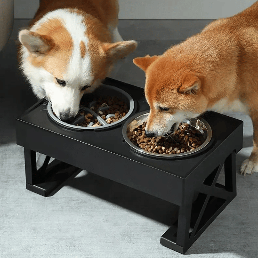 Adjustable Height & Tilt Raised Dog Bowl Stand with Stainless Steel & Slow-Feeding Dog Bowls 6