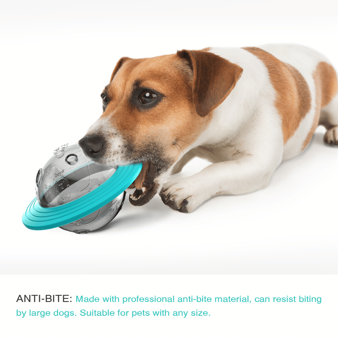 Interactive Dog Treat Ball Toy for Slow Feeding of Biscuits & Food