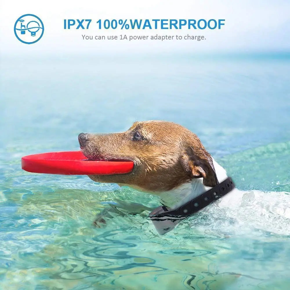 Safe & Humane No Shock Dog Training Collar & Remote 6