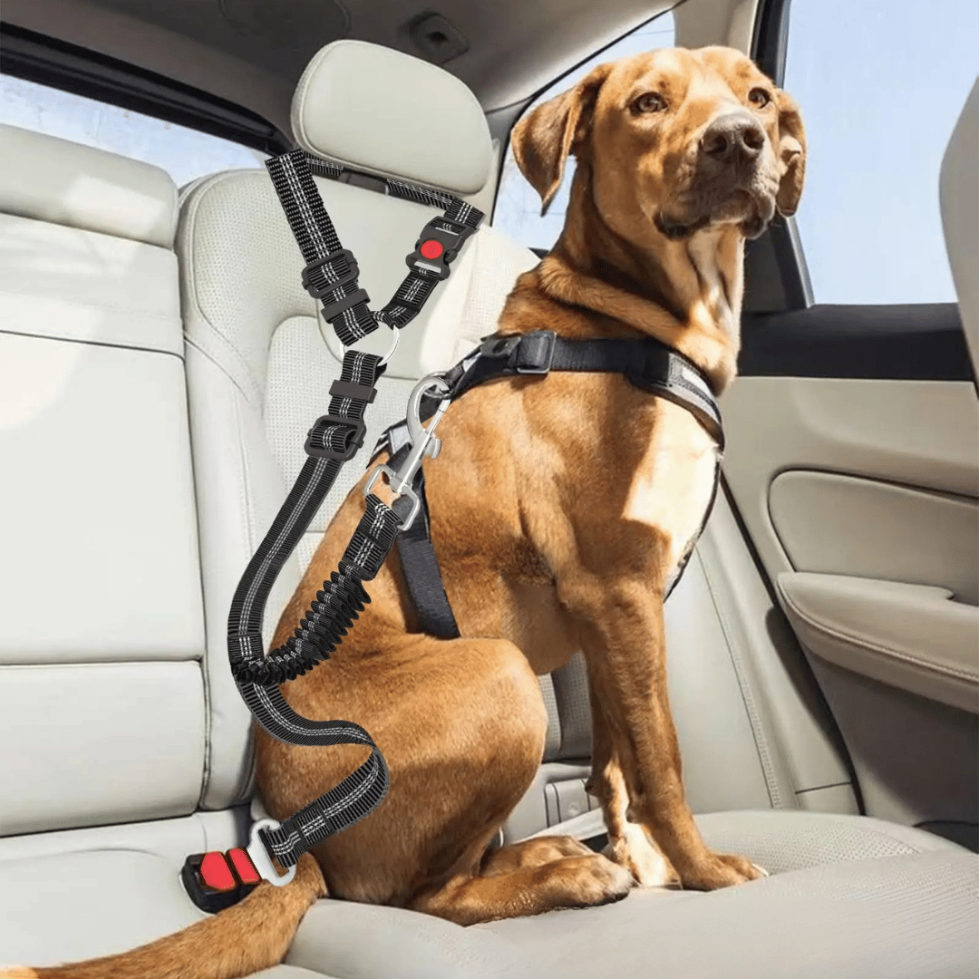 Heavy Duty Dog Seat Belt for Safe Car Travel | Double-Fastening & Fully Adjustable Nylon Dog Car Harness 2