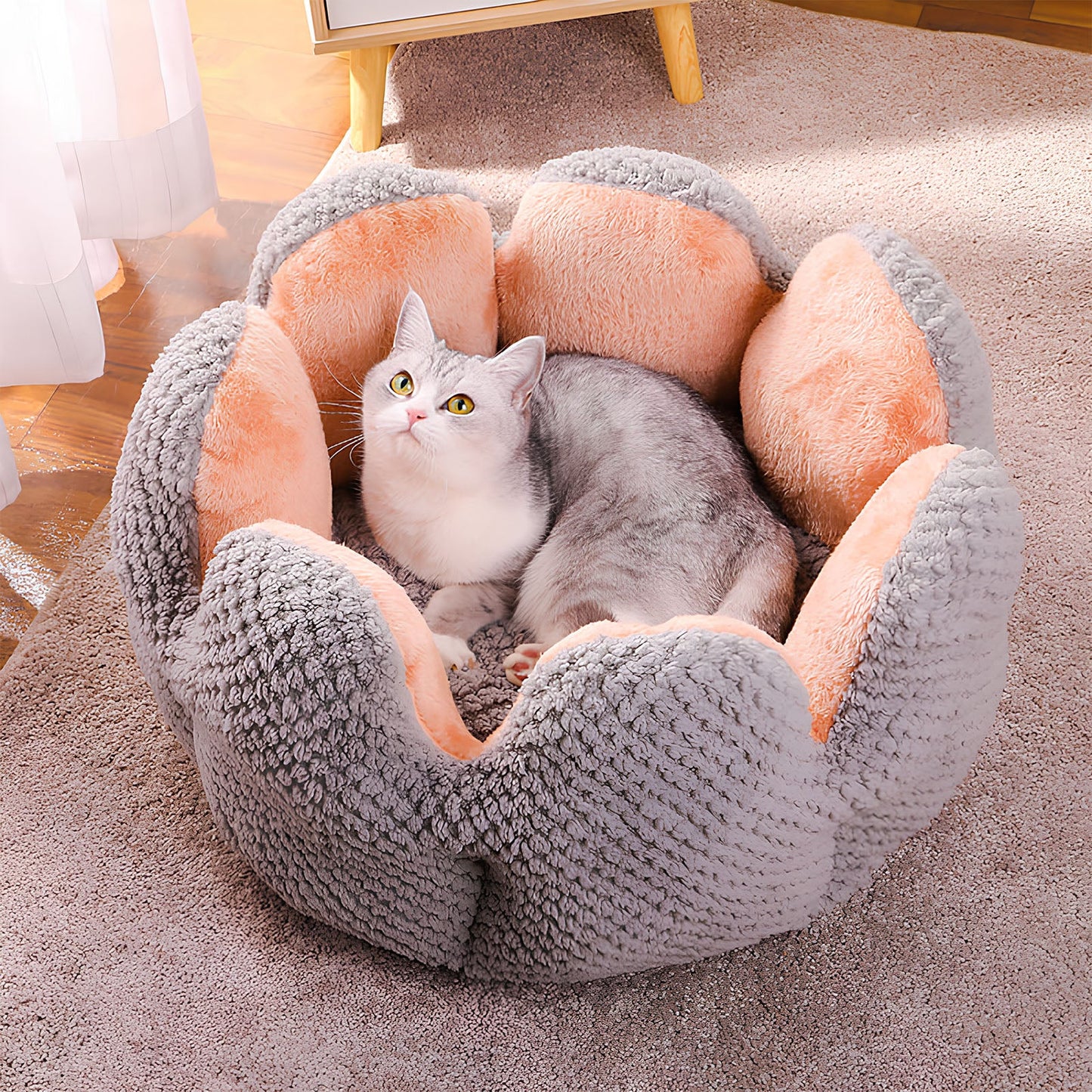 Cactus-Shaped-Pet-Bed-for-Cats-and-Small-Dogs-5