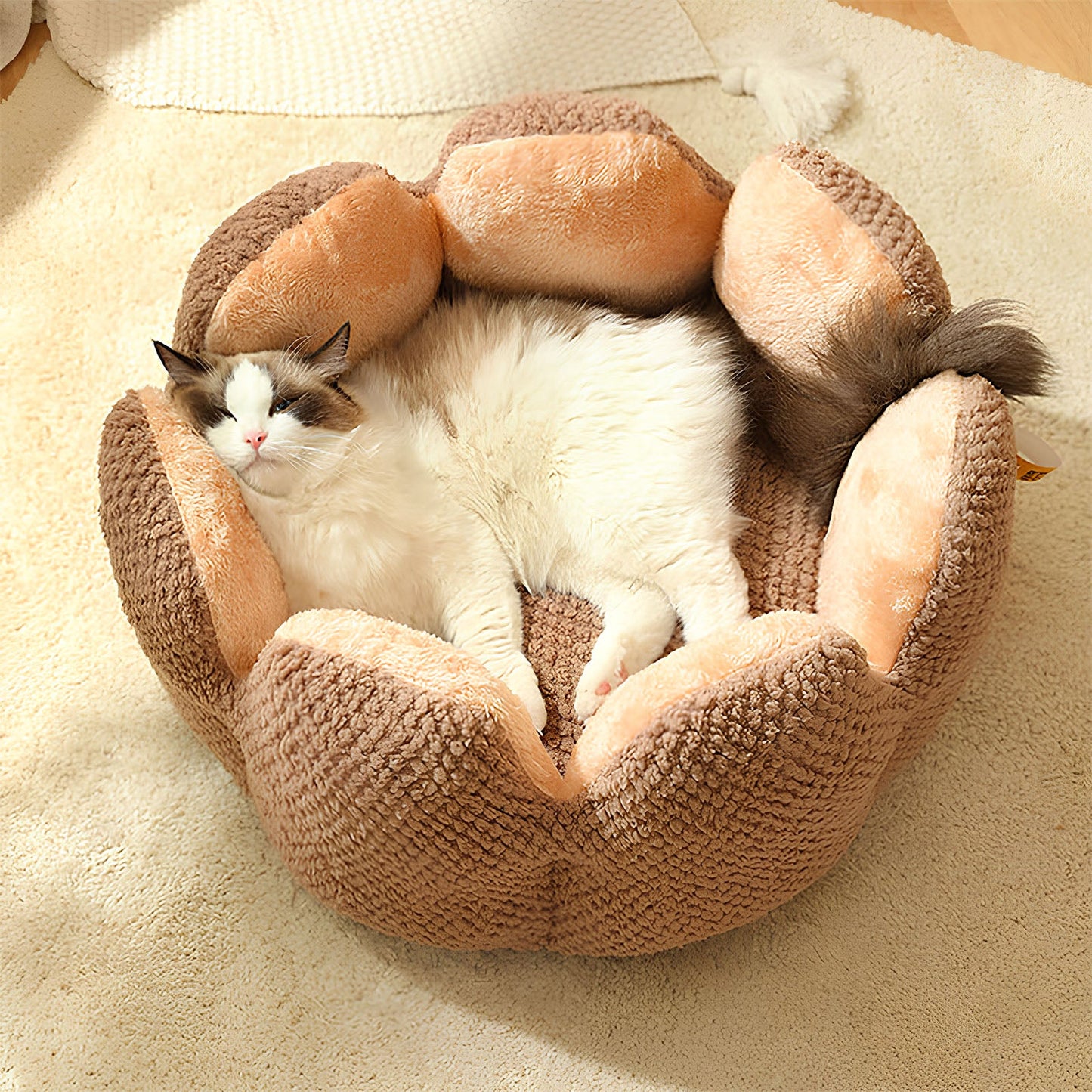 Cactus-Shaped-Pet-Bed-for-Cats-and-Small-Dogs-6