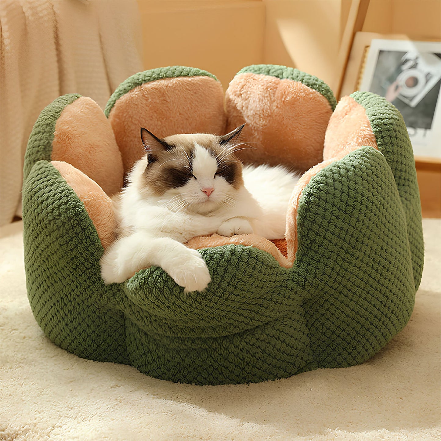 Cactus-Shaped-Pet-Bed-for-Cats-and-Small-Dogs-7