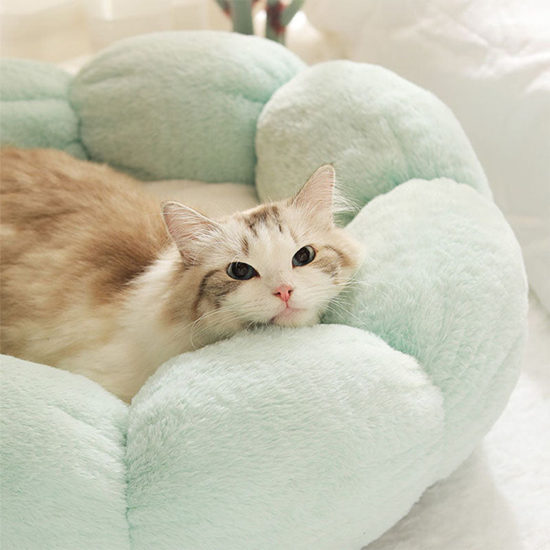 Flower-Shaped-Cat-Bed-Nest-9