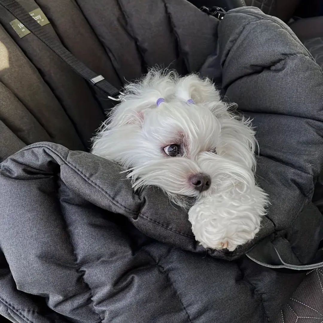 Luxury-3-in-1-Dog-Travel-Bag-Bed-Car-Seat-7