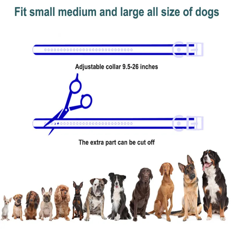 4-Mode Remote Controlled Dog Training Collar 7