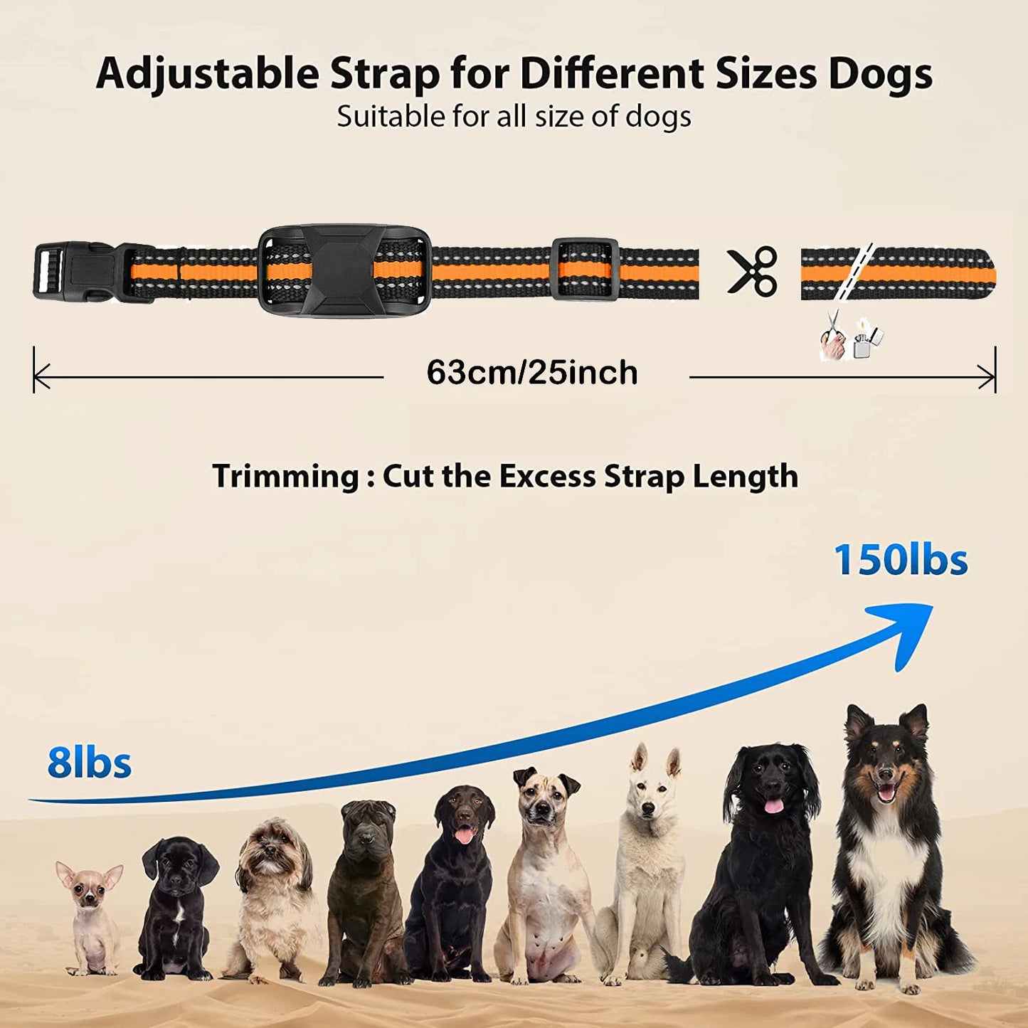 350m Dog Training Collar with Remote Control | Long-Lasting USB Rechargeable 6