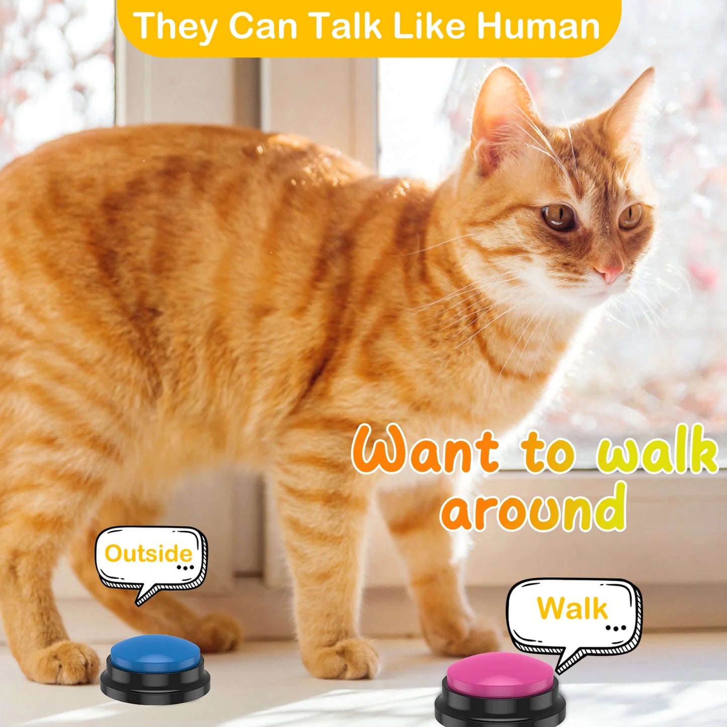 Dog Talking Buttons 4