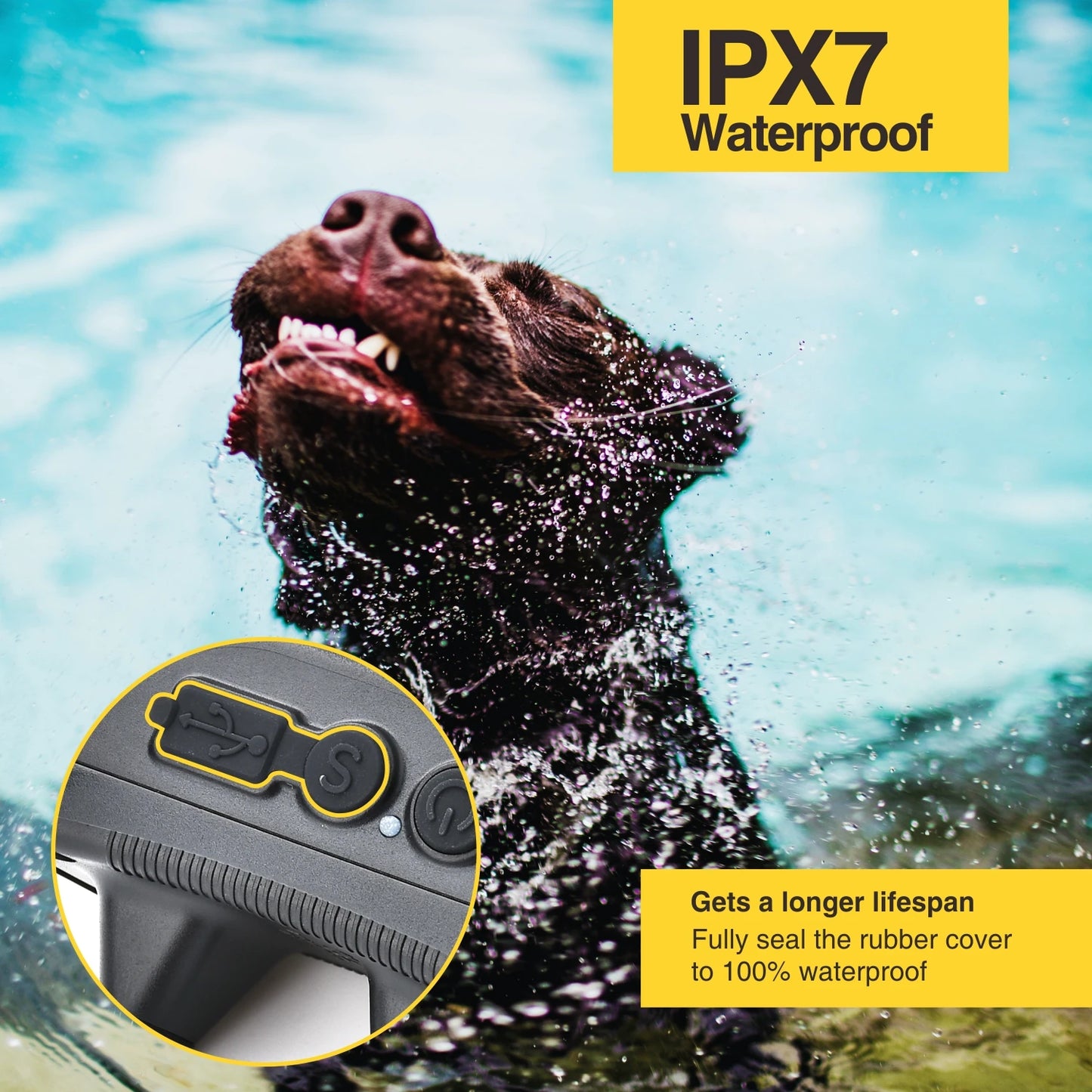 800m No Bark Dog Training Collar | Waterproof & Rechargeable 11
