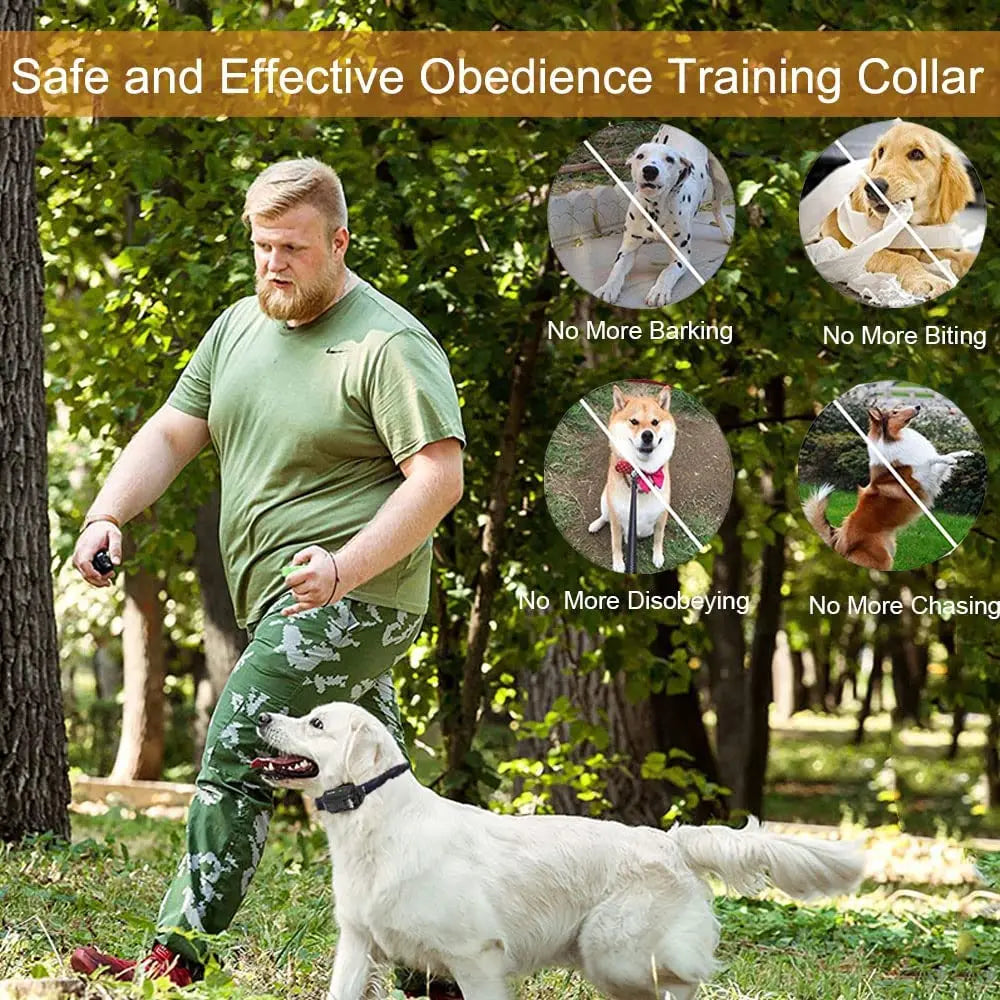 300m Dog Training Collar with Remote Control | Rechargeable & Waterproof 4