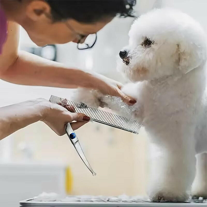 Stainless Steel Dog Grooming Scissors Set & Comb 2
