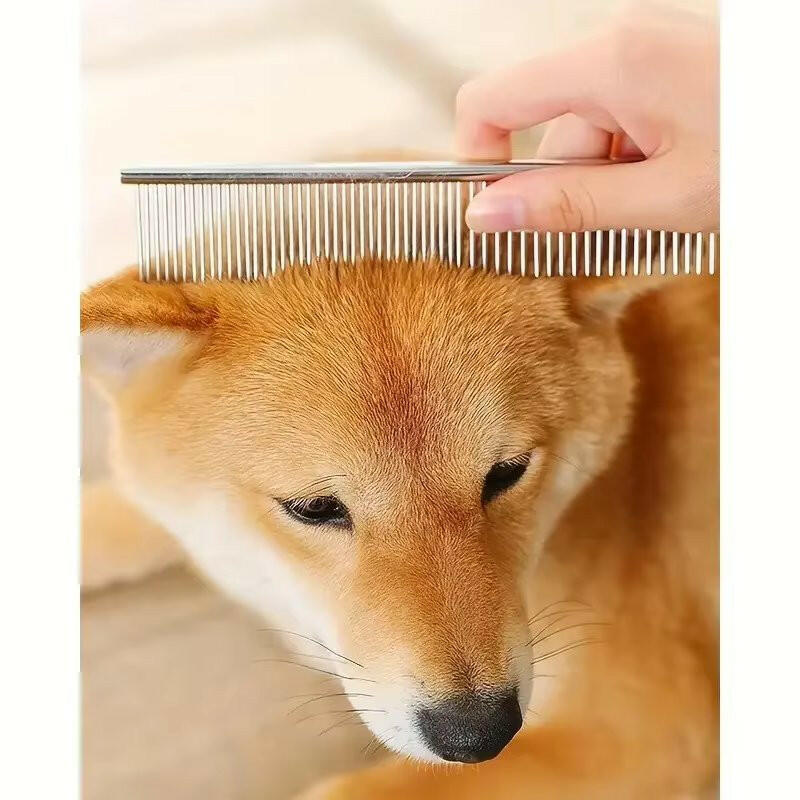 Stainless Steel Dog Grooming Scissors Set & Comb 6