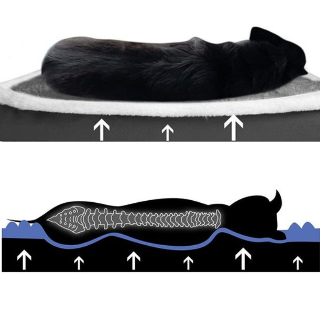 Ultra-Soft-Orthopaedic-Dog-Bed-with-Removable-Zipped-Cover-15