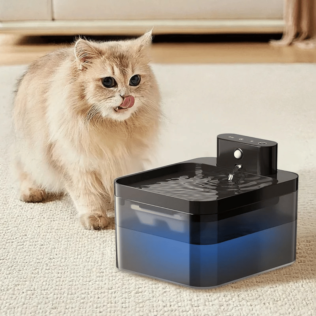 Automatic Cat Water Fountain with Smart Sensor 2