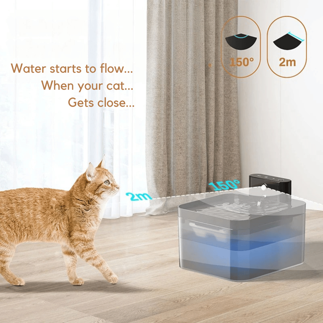 Automatic Cat Water Fountain with Smart Sensor 4
