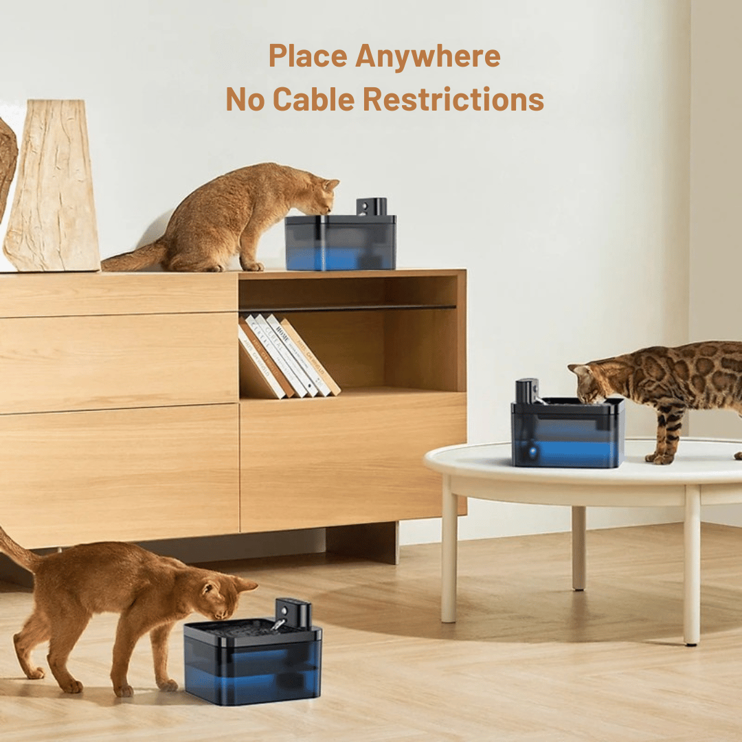 Automatic Cat Water Fountain with Smart Sensor 6