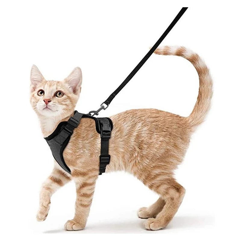 Easy-On-&-Off Soft Mesh Cat Harness & Leash Set 10