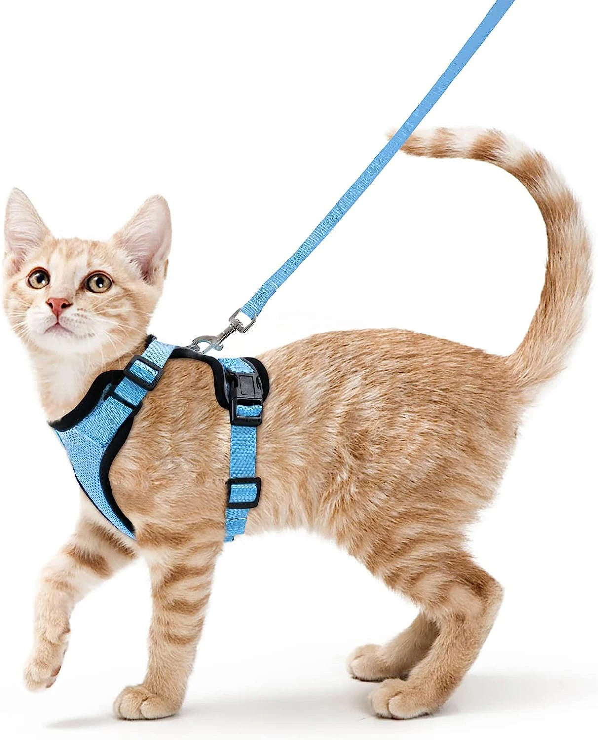 Easy-On-&-Off Soft Mesh Cat Harness & Leash Set 7