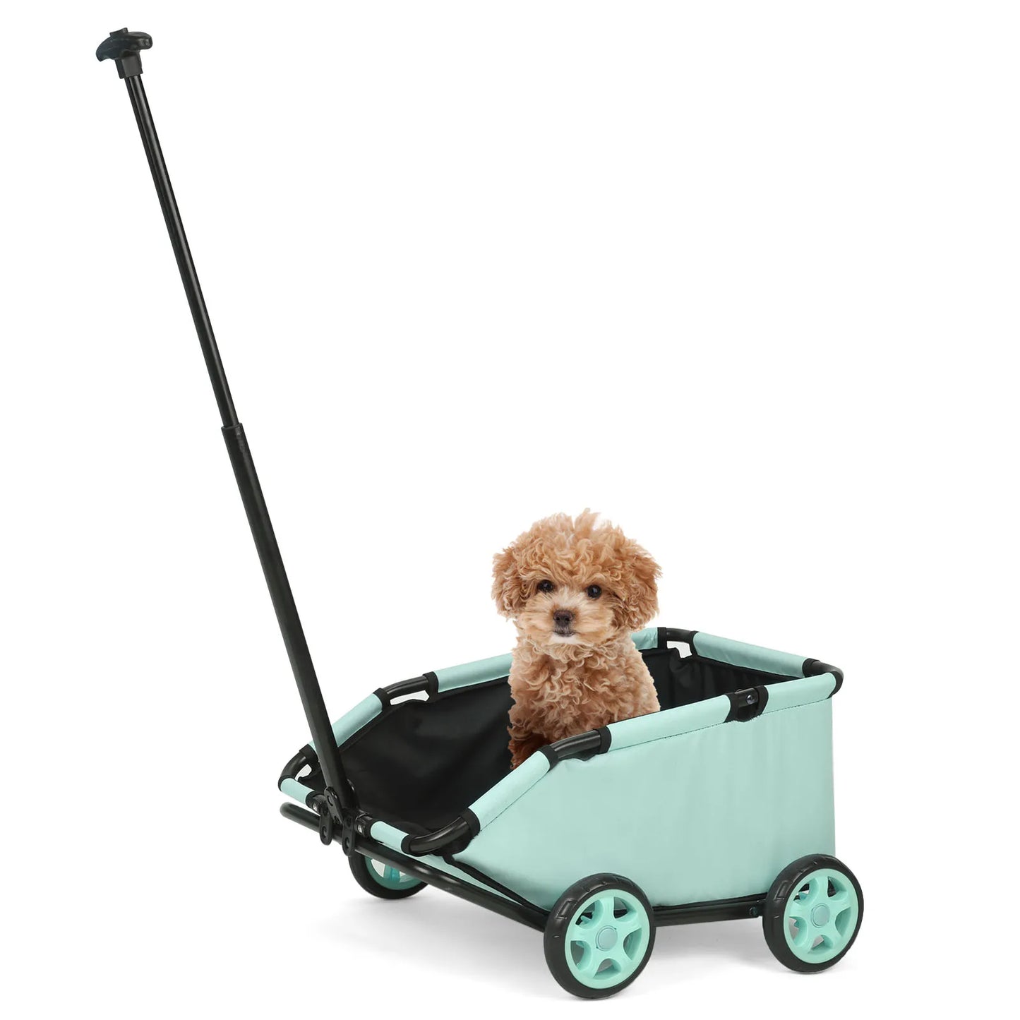 360° Rotating Pet Trolley for Small Dogs & Cats 3