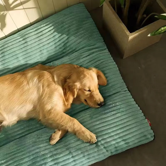 Calming Comfort Dog Bed Pillow with Washable Cover 5