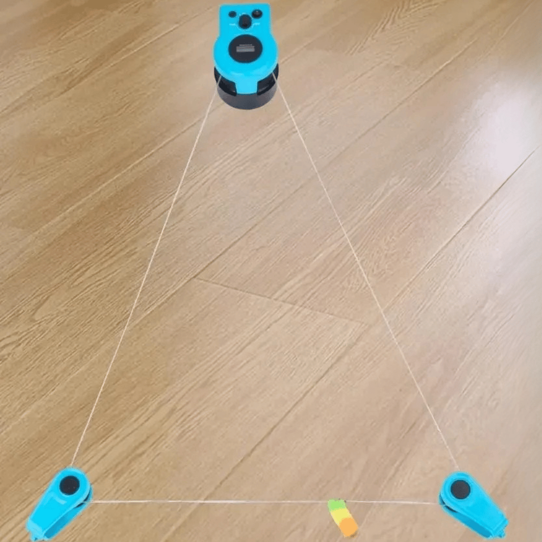 Interactive Cat Hunting Toy | Motion-Based Exercise Game for Indoor Cats