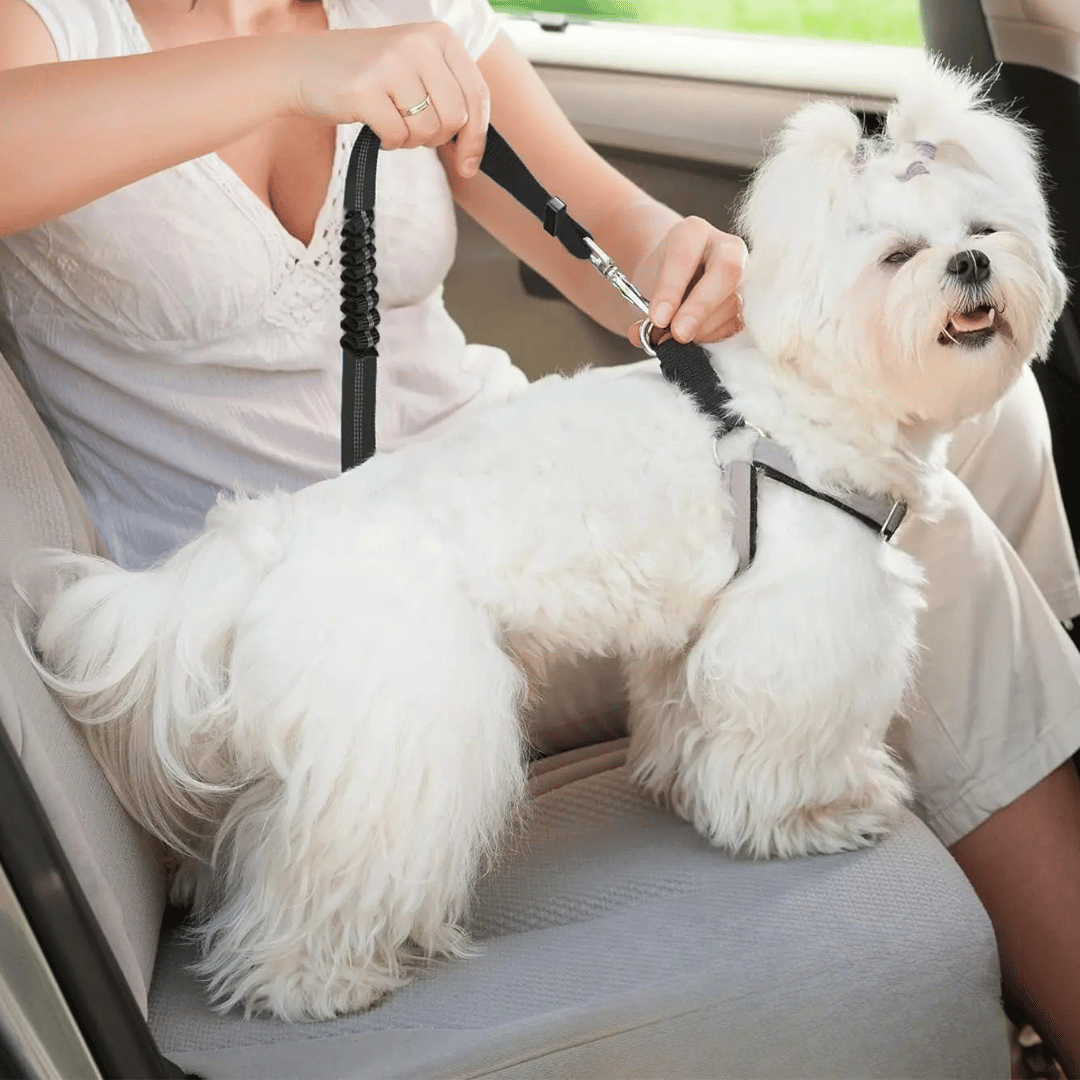 Heavy Duty Dog Seat Belt for Safe Car Travel | Double-Fastening & Fully Adjustable Nylon Dog Car Harness 6