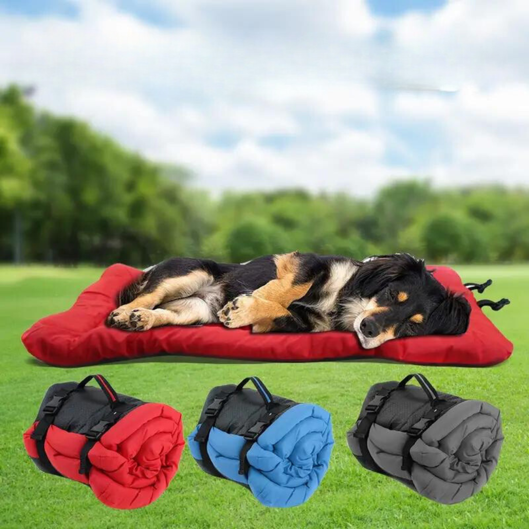 Easy-Carry Foldable and Waterproof Dog Travel Bed 4