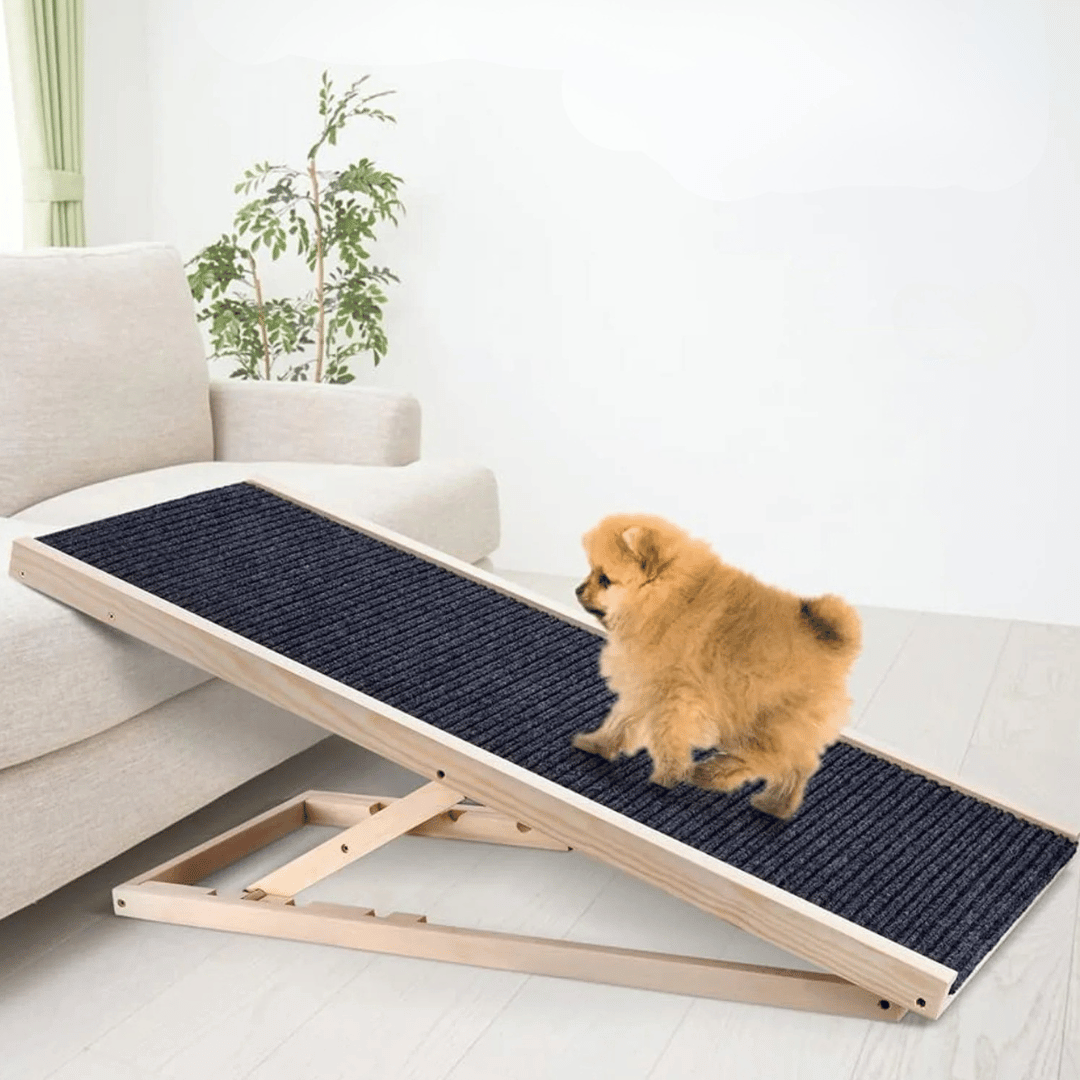 Easy-Storage Adjustable Wooden Dog Ramp 1