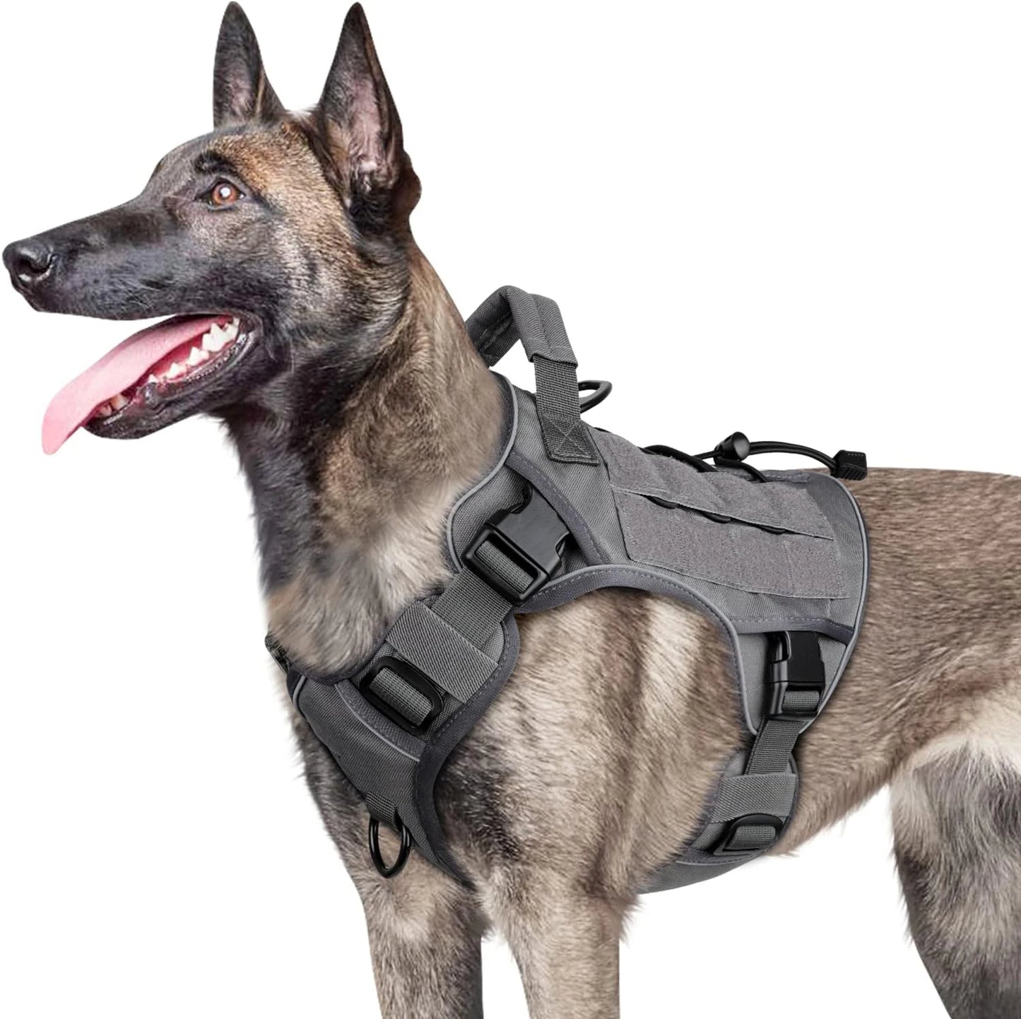 Military-Style Dog Harness Tactical Vest with Handle & No-Pull Clip 2