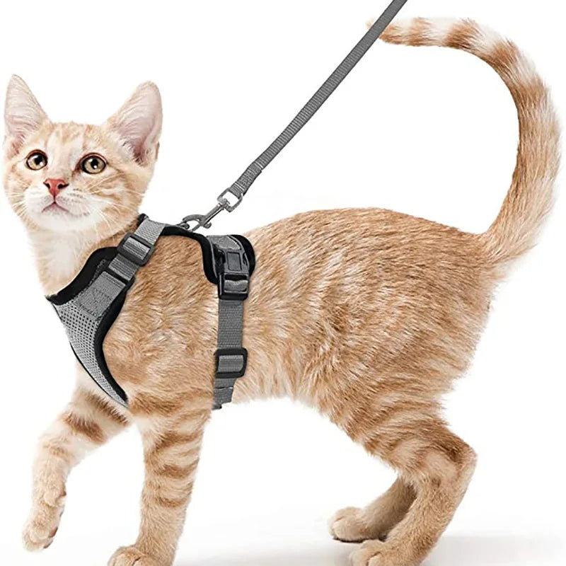 Easy-On-&-Off Soft Mesh Cat Harness & Leash Set 8